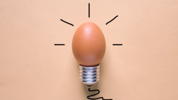Egg Lightbulb