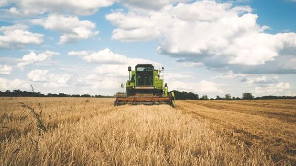 Combine harvester