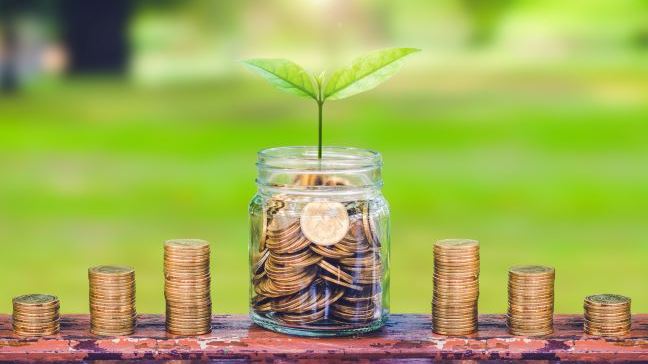Seedling growing out of a pot of coins