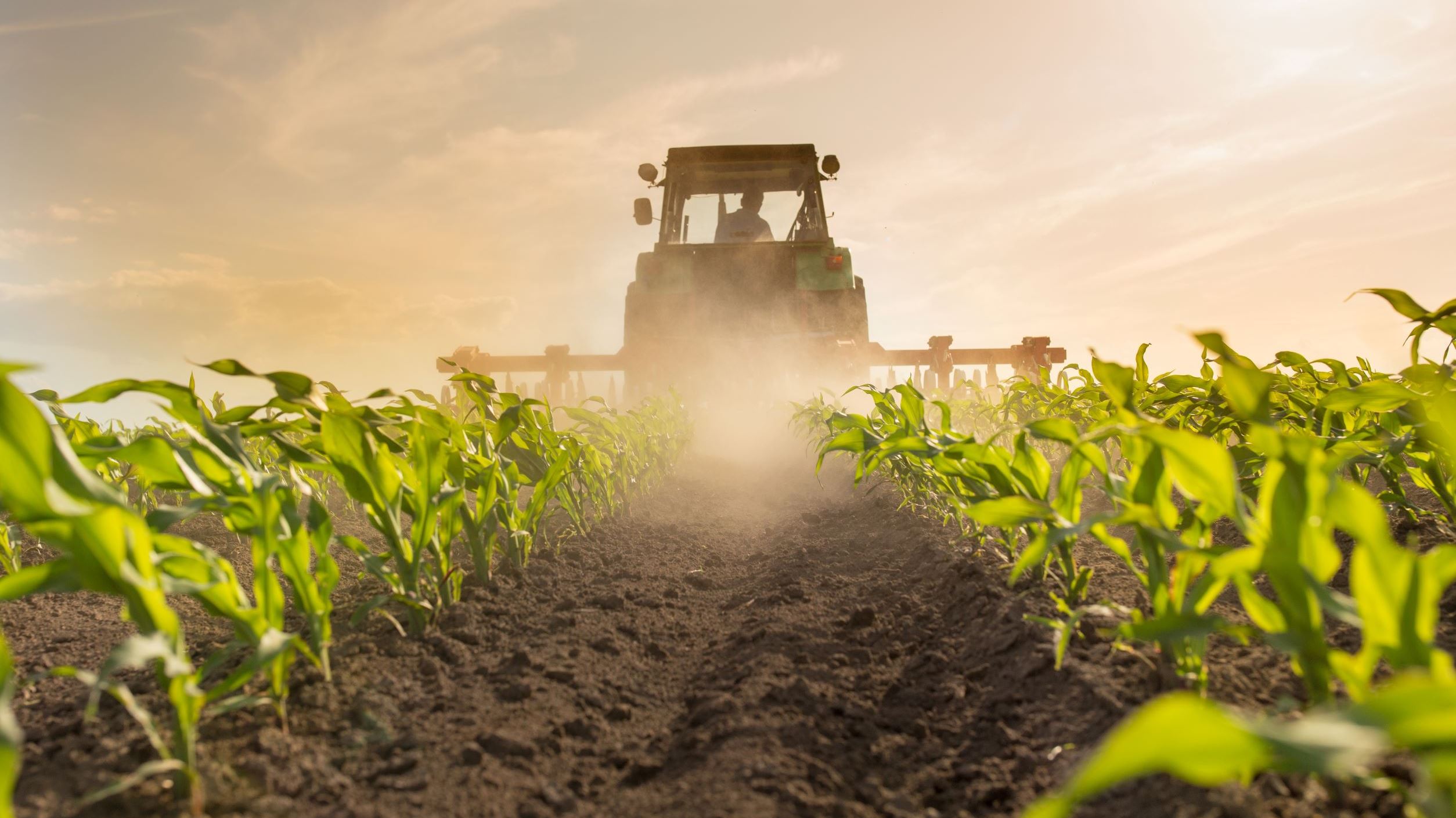 Combine harvester ploughing a field