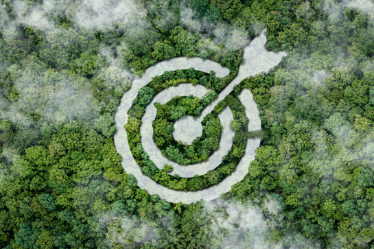Aerial view of a forest with a target symbol and arrow cut into the trees, representing focus, goals, or sustainability.