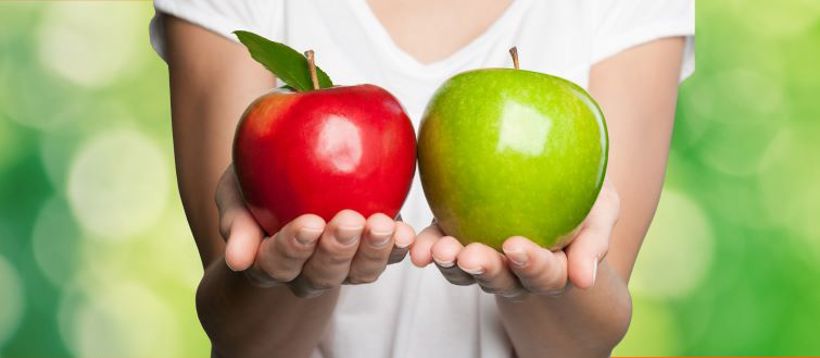 Person comparing apples